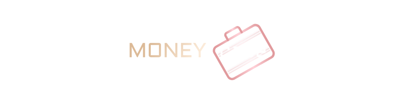 MoneyCase огляд